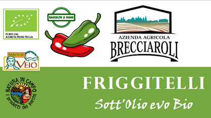FRIGGITELLI Sott'Olio evo BIO 300g