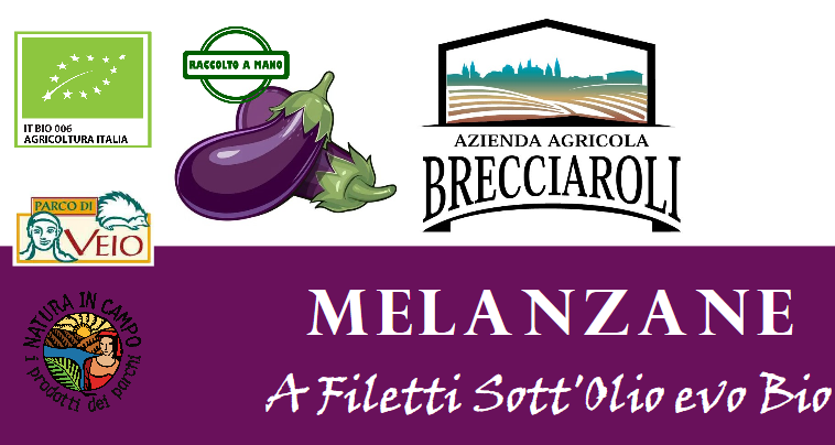 MELANZANE A Filetti Sott’Olio evo BIO 300g